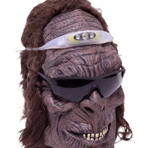Bandicoot Run 250 Headlamp in Lime by Windthrow