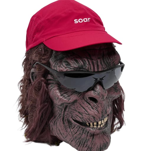 Run Cap 2.0 in Deep Pink by Windthrow