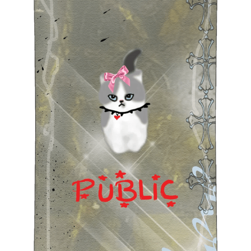 PUBLIC Jibgurl 148 by PUBLIC