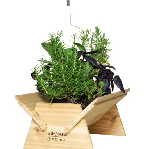 EQ-112 Grow Planter by Earth\Studies