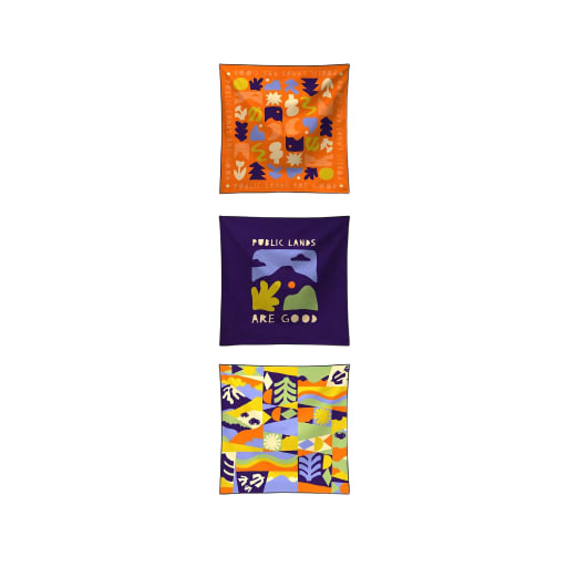 Tiny Towel 3-Pack: Nomadix X The Conservation Alliance: Little Wonders by Nomadix