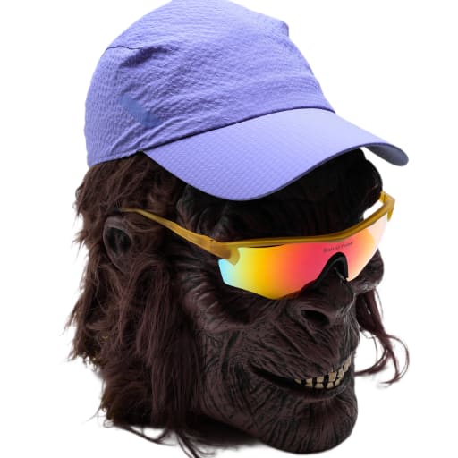 Dart Cap in Lilac by Windthrow