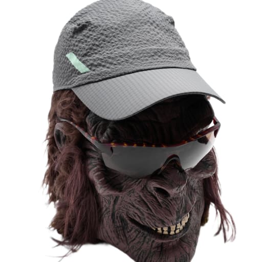 Dart Cap in Grey by Windthrow