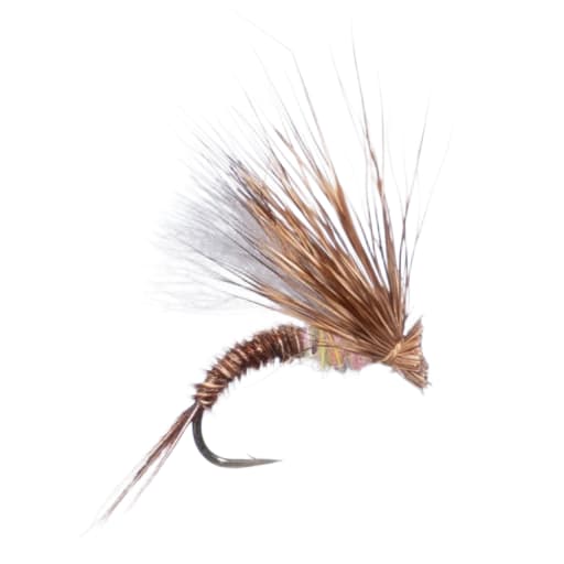 Chris Calabrese - Hendrickson 1/2 and 1/2 by Housefly Fishing