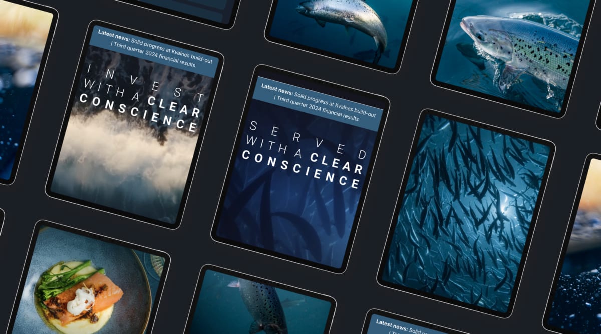 Bilder av ulike skjermer med design og visuell identitet for Andfjord Salmon.