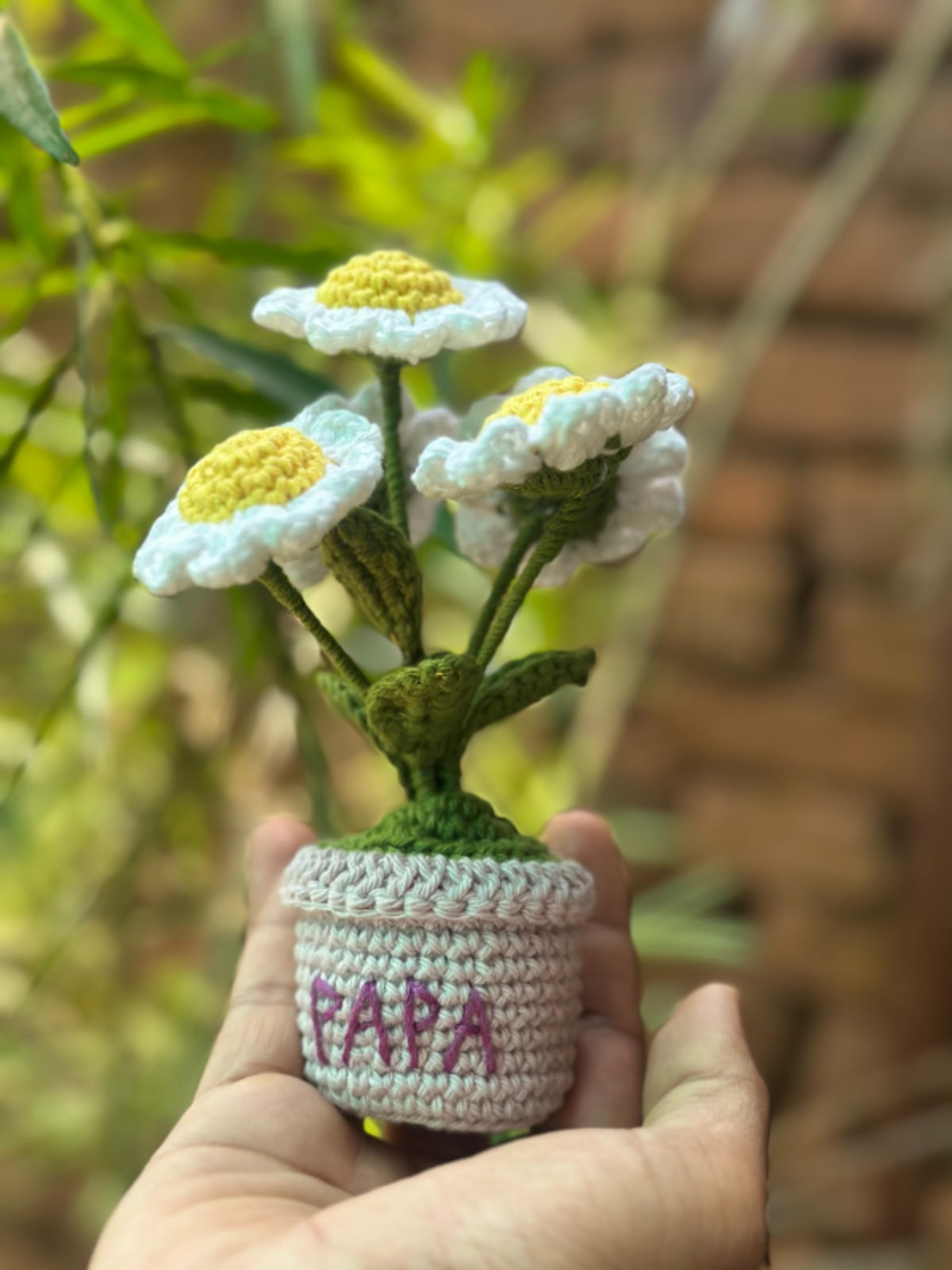 Muti flower daisy pot  — image 3
