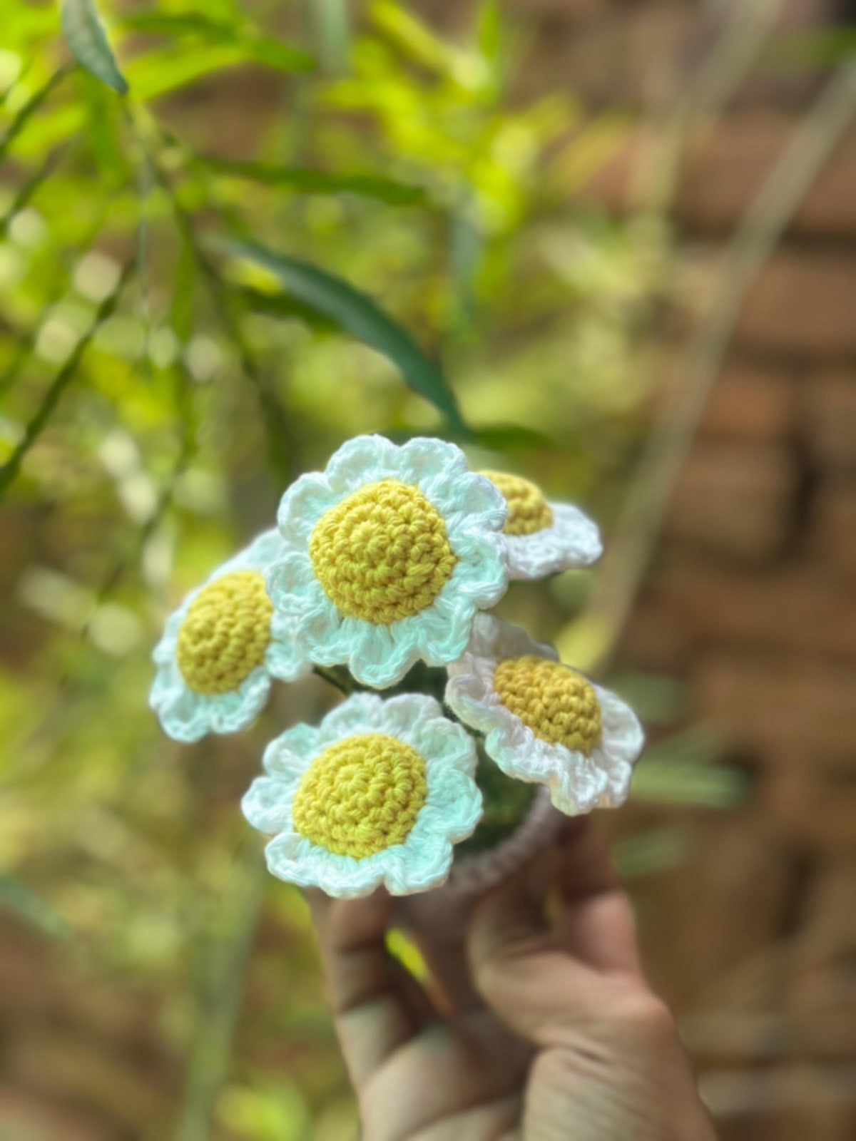 Muti flower daisy pot  — image 4