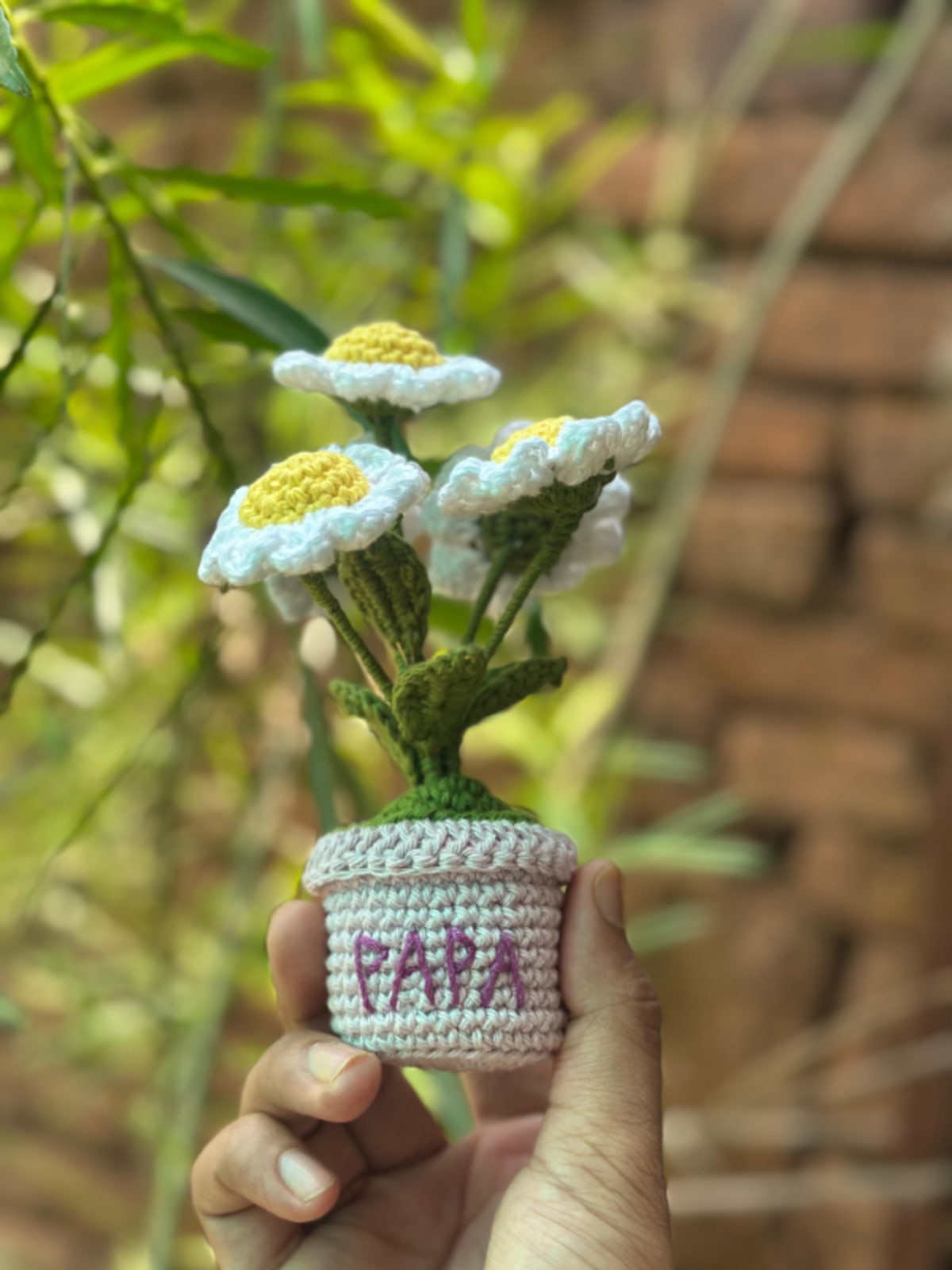 Muti flower daisy pot  — image 1