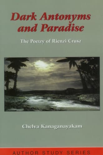 Dark Antonyms and Paradise cover