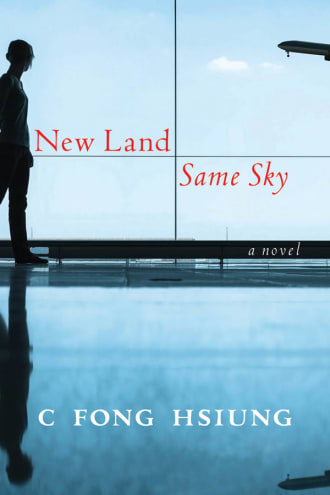New Land Same Sky cover