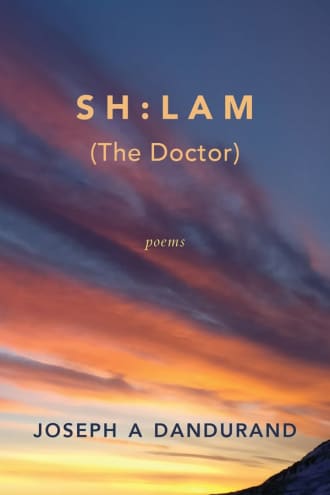 Cover image for SH:LAM (The Doctor)