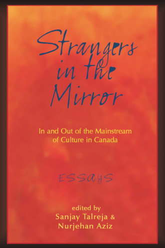 Cover of Strangers in the Mirror