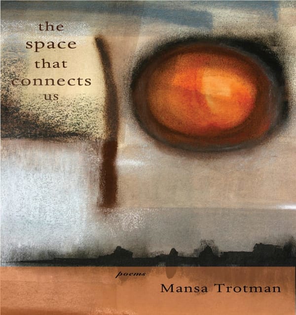 the space that connects us cover