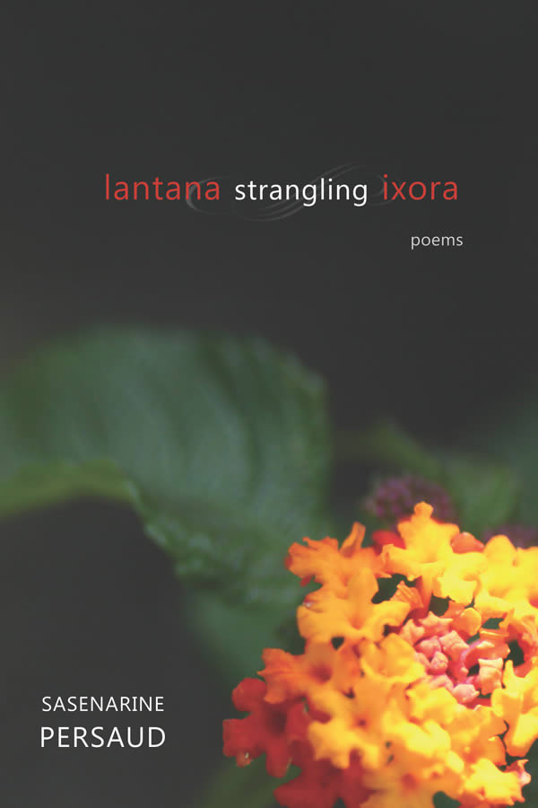 Lantana Strangling Ixora cover
