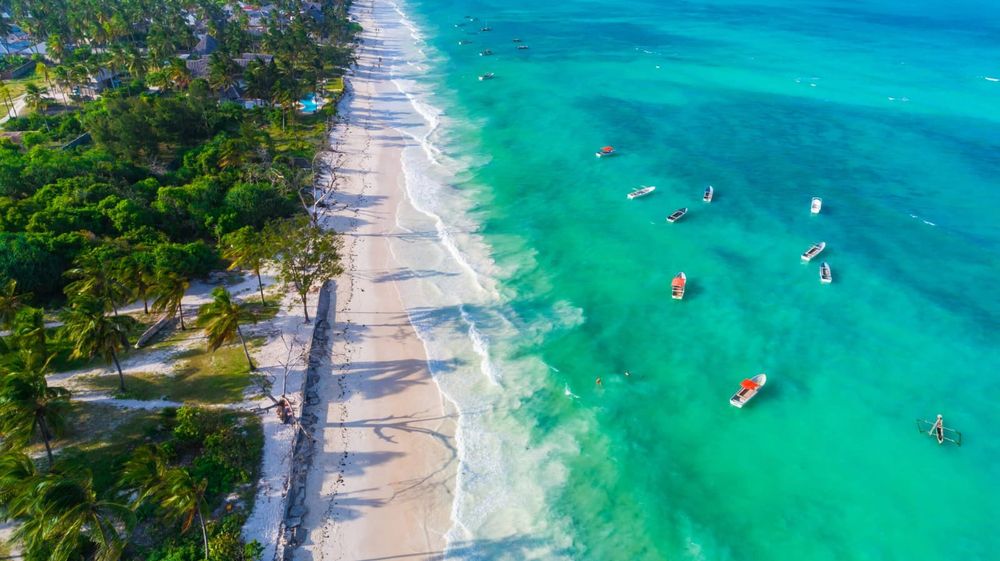MIT - The Safari Paradise Experience- Tanzania & Zanzibar Nov. 9-17, 2026