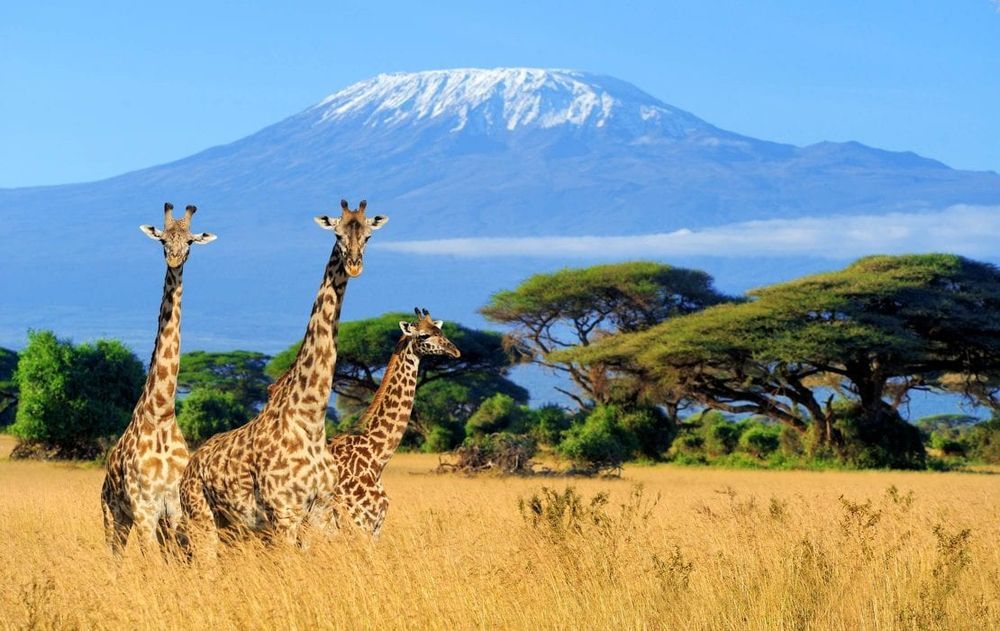 https://res.cloudinary.com/maximumimpactbooking/image/upload/v1759770005/booking/umu7ltkedsn4gqhegfwf.jpg