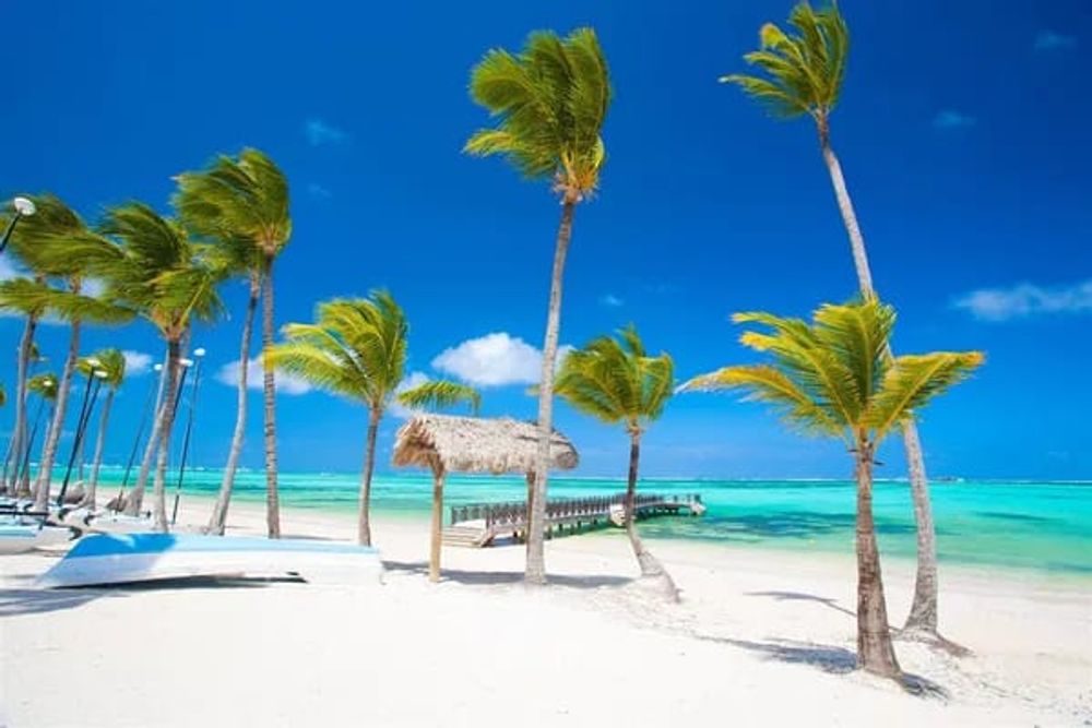 https://res.cloudinary.com/maximumimpactbooking/image/upload/v1760353226/booking/bguavvam5i0iwppd0ssw.jpg