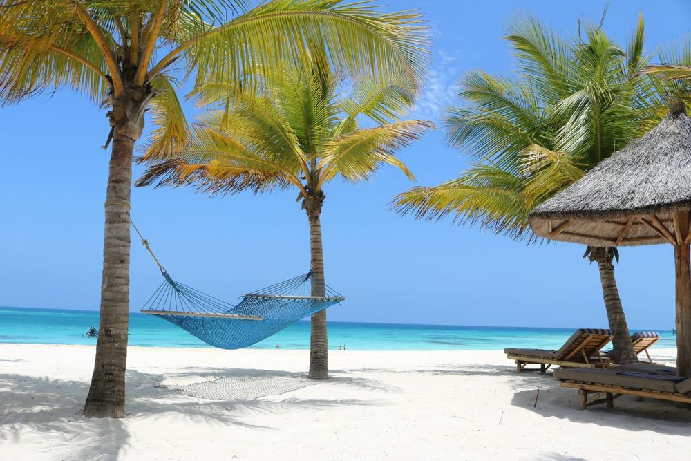 https://res.cloudinary.com/maximumimpactbooking/image/upload/v1760355502/booking/vrygxujxsarpwmwt7q0h.jpg