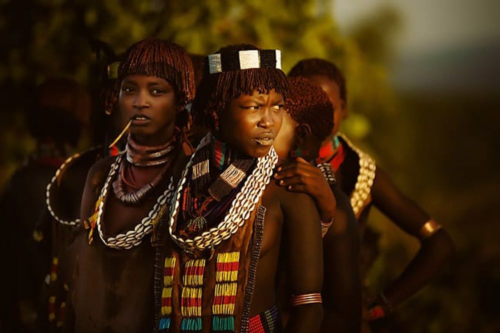 MIT - Tanzania & Zanzibar (Mar 6 - 14, 2027)