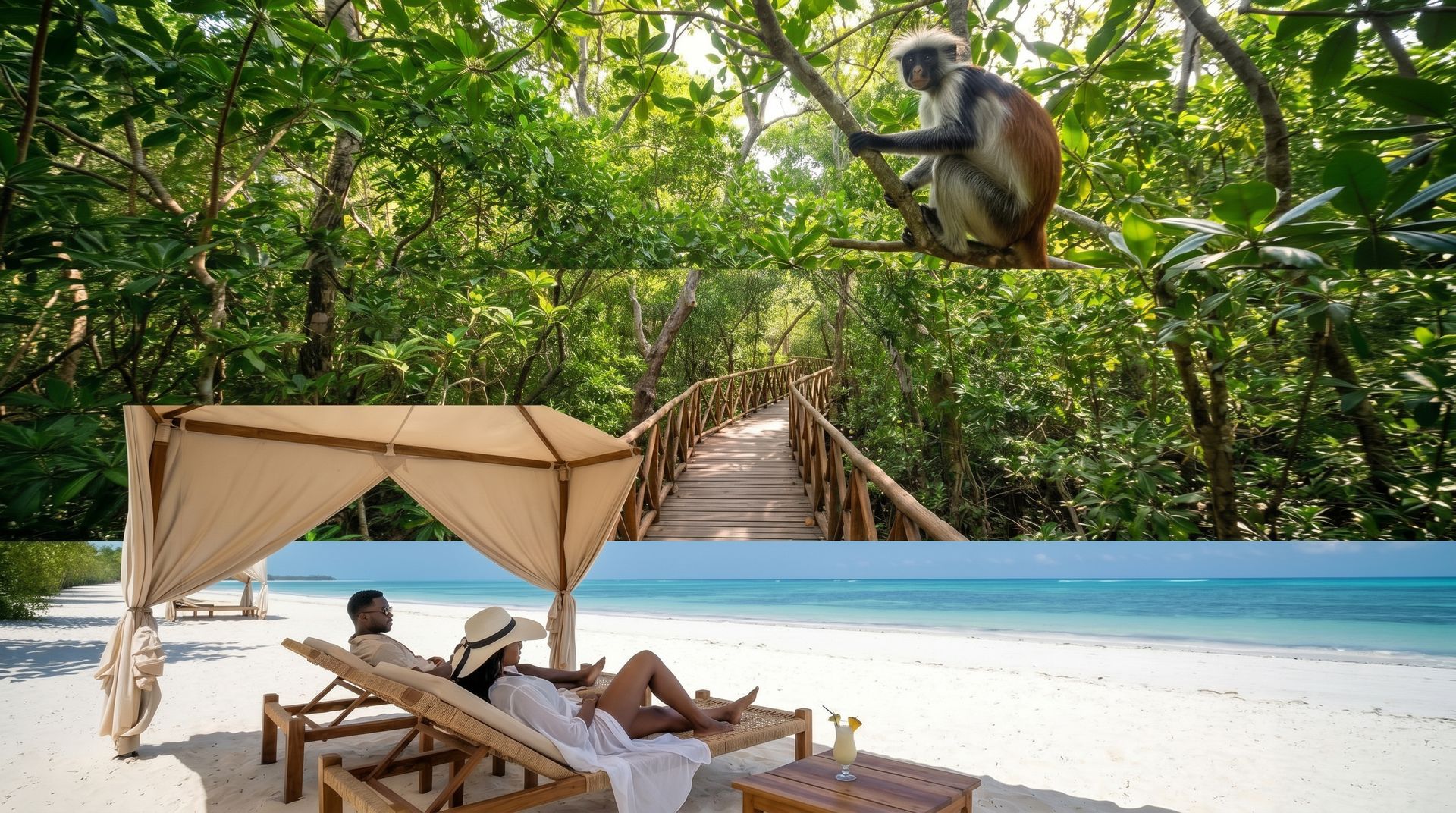https://res.cloudinary.com/maximumimpactbooking/image/upload/v1783620200/booking/aa7bvhsivejsu9plxzyb.jpg