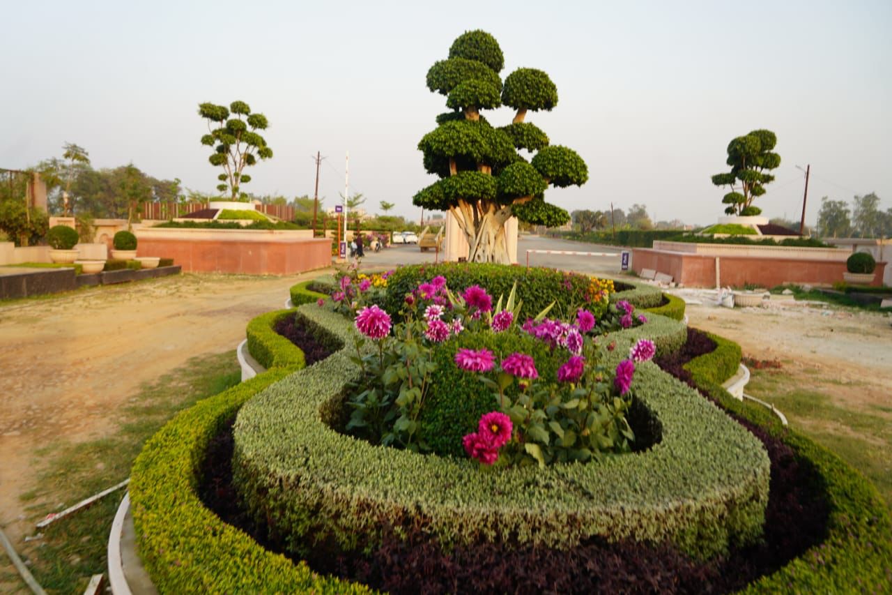 FB Floret Town — View 5