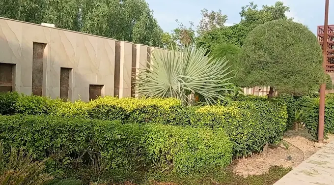 Miracle Homes — Gallery 4