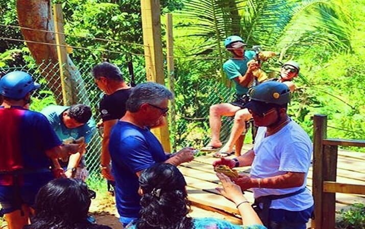 Roatan zipline, sloths, monkey, chocolate and rum factories tours