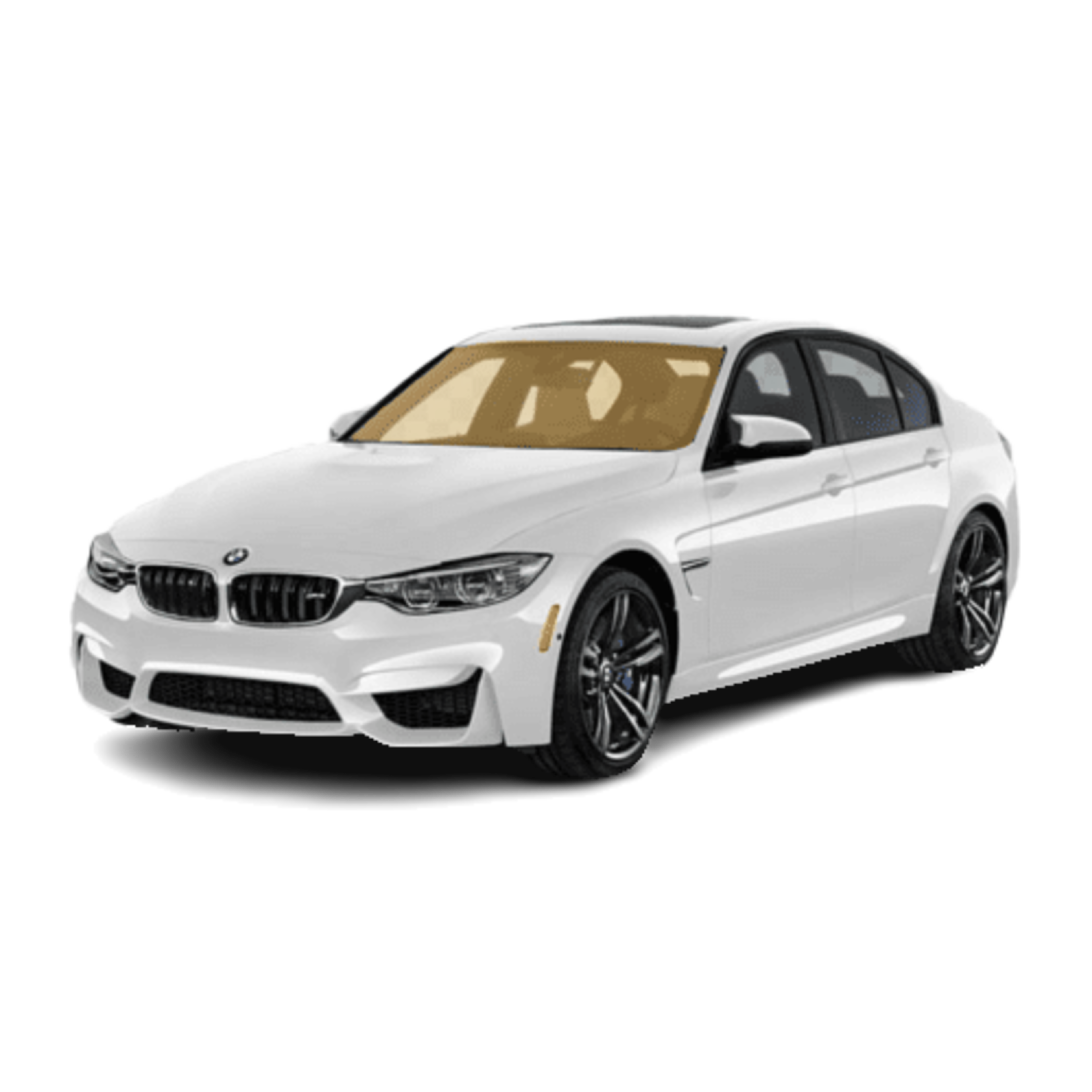 Windshield Tint Serv Image