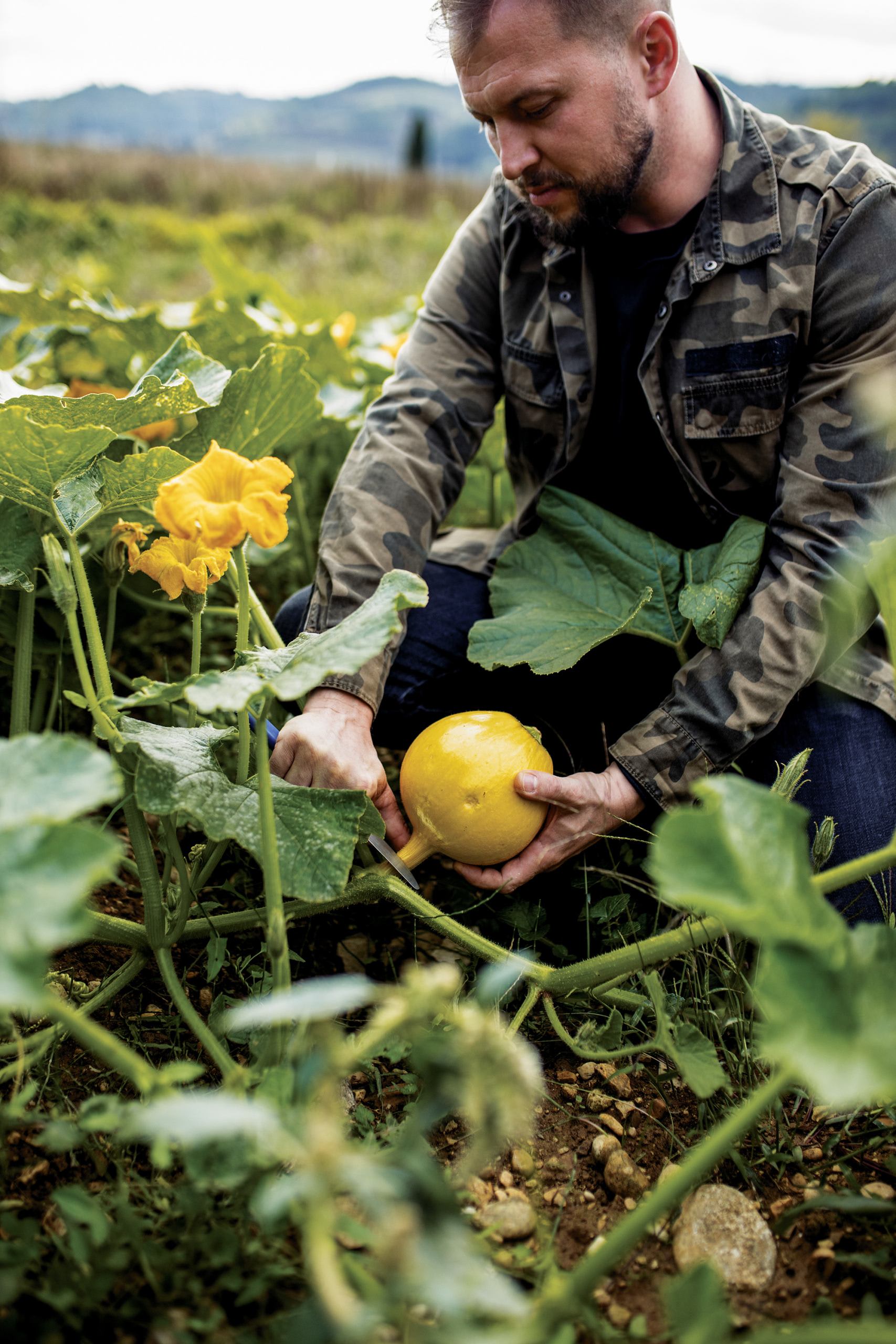 Kuchynská filozofia