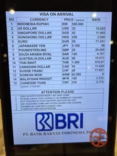 アライバルビザの通貨別料金表