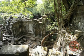 ジャングルにひっそり佇むベンメリア遺跡