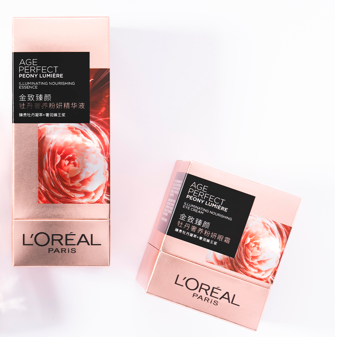 L'oreal Paris Lingerie Student Concept – Packaging Of The World