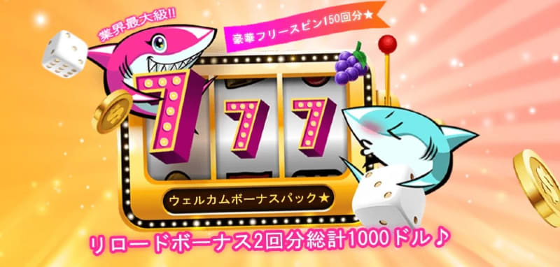 aloha shark promotions