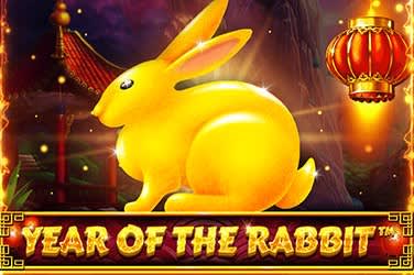 year of the rabbit