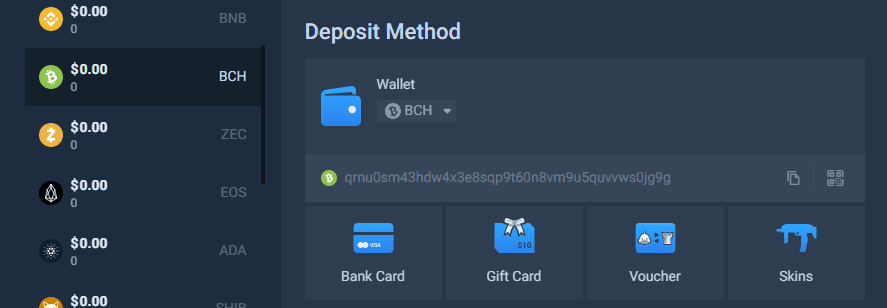 Typical BCH deposit/withdraw screen