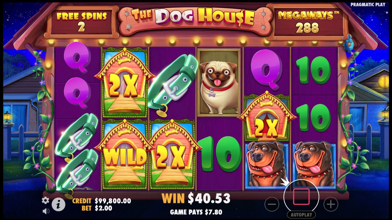 The Dog House Megaways™ - Free Spins Round