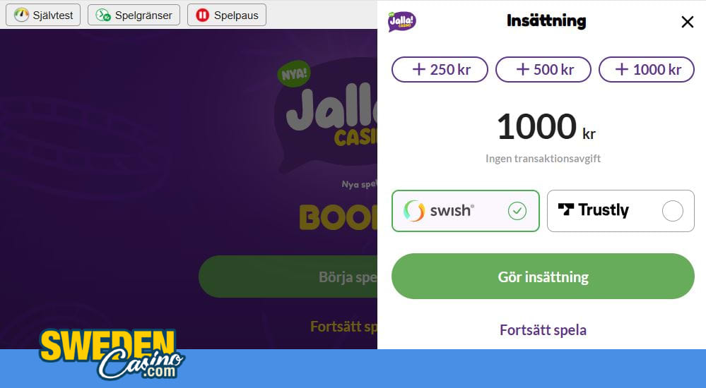 Typisk vy för insättning på svenskt casino