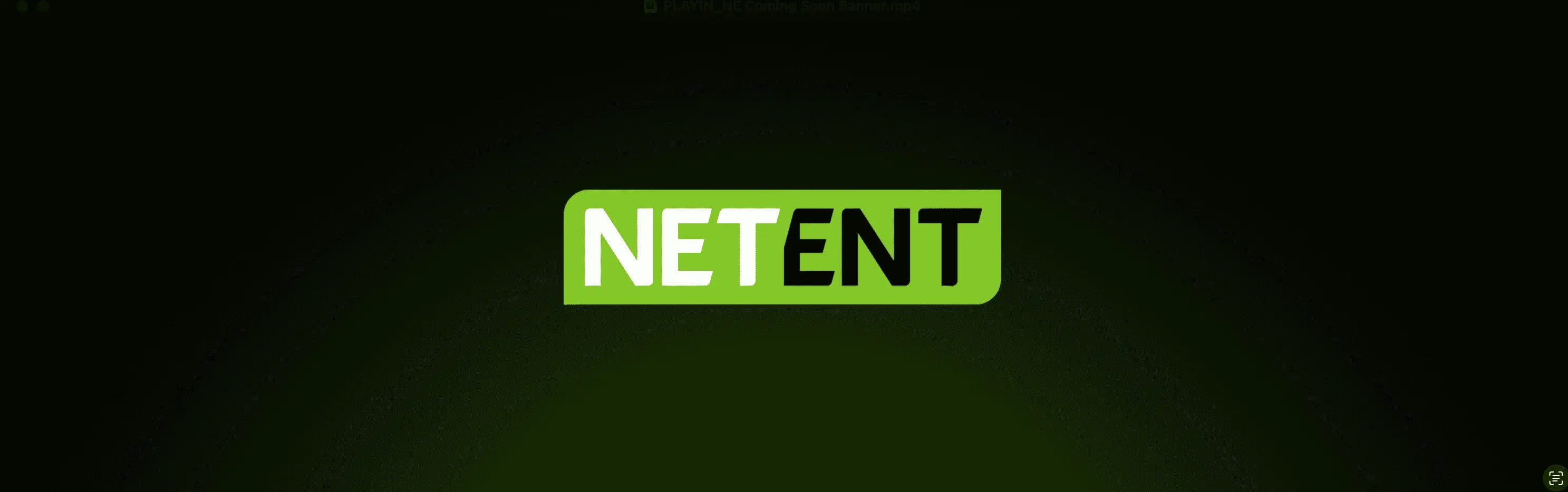 NetEnt - Fakta