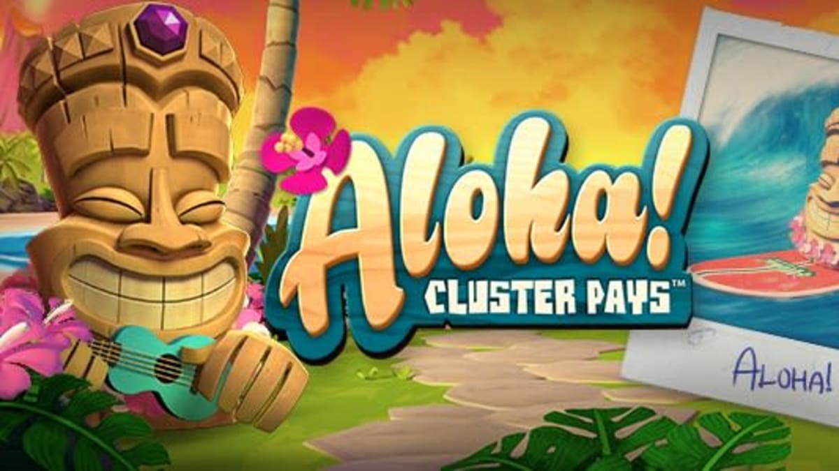 Алоха пираты. Слот Aloha. Aloha Slot. Aloha Charm Slot. Tropical Slot.