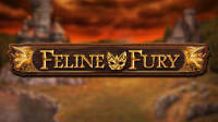 Feline Fury