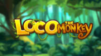 Loco The Monkey