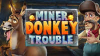 Miner Donkey Trouble