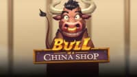 Bull in a China Shop