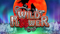 Wild Flower