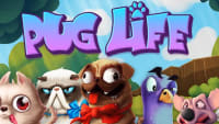 Pug Life