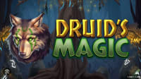 Druid’s Magic