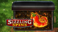 Sizzling Spins