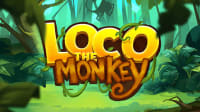 Loco the Monkey