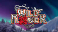 Wild Flower