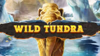 Wild Tundra